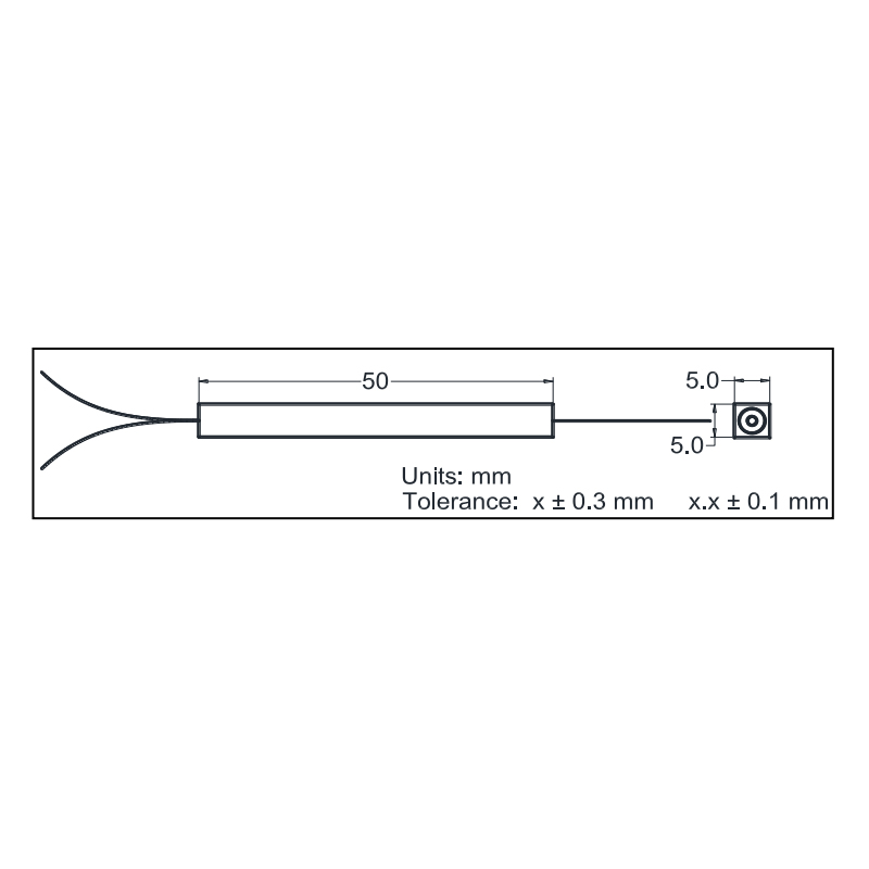 (1+1)×1多模900~1000nm泵浦&信号合束器