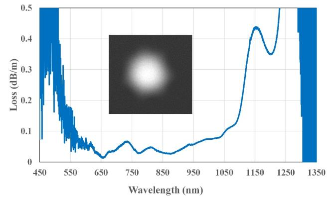 920nm单圈反谐振空芯光纤